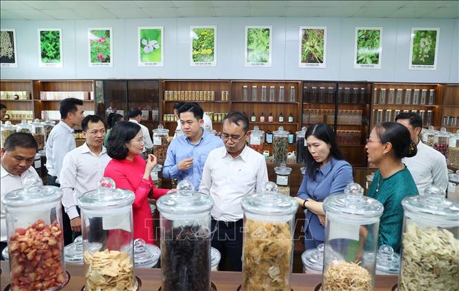 Ông Phongsavanh Siliphane, Ủy viên Trung ương Mặt trận Lào xây dựng đất nước, Ủy viên Ban Thường vụ Thành ủy, Chủ tịch Ủy ban Mặt trận Lào xây dựng đất nước Thủ đô Vientiane cùng đoàn công tác tham quan Trung tâm thảo dược Việt Nam của Hợp tác xã Hà Nội Xanh tại xã Liên Minh, thành phố Hà Nội. Ảnh: Văn Điệp – TTXVN