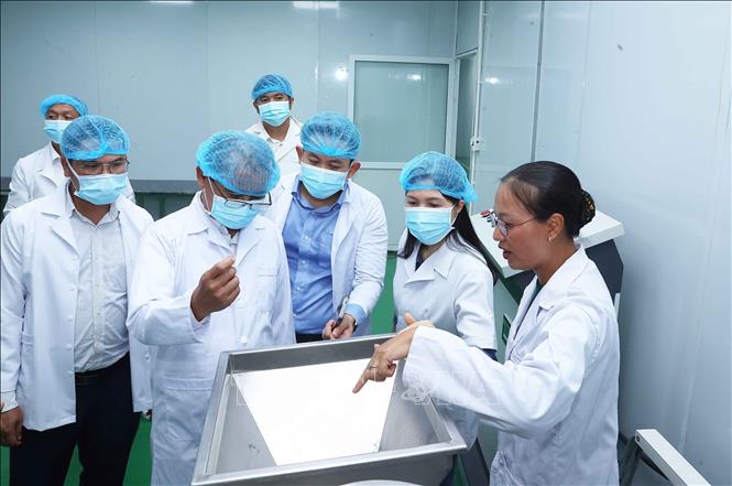 Ông Phongsavanh Siliphane, Ủy viên Trung ương Mặt trận Lào xây dựng đất nước, Ủy viên Ban Thường vụ Thành ủy, Chủ tịch Ủy ban cùng đoàn công tác tham quan Nhà máy sản xuất Pilot – An Lạc Farm của Hợp tác xã Hà Nội Xanh tại xã Liên Minh (Hà Nội). Ảnh: Văn Điệp - TTXVN