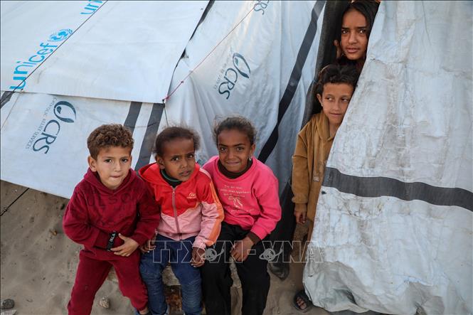 Trẻ em Palestine tại trại tị nạn ở phía Tây thành phố Gaza. Ảnh: THX/TTXVN phát