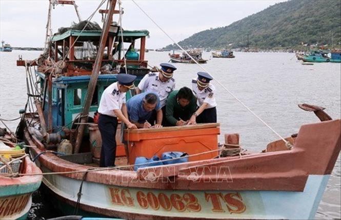 Chủ phương tiện tàu cá ký cam kết không vi phạm khai thác IUU trong đợt cao điểm năm 2025, Cảnh sát biển Việt Nam quyết tâm ngăn chặn, góp phần cùng cả nước chấm dứt tình trạng tàu cá vi phạm khai thác hải sản bất hợp pháp, không báo cáo và không theo quy định (khai thác IUU). Ảnh: TTXVN phát