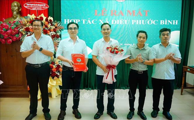 Lãnh đạo phường Phước Bình trao quyết định thành lập Hợp tác xã Điều Phước Bình. Ảnh: K GỬIH - TTXVN 