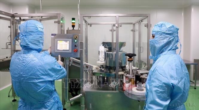 Ngành y tế phát triển về cả quy mô và chất lượng. Trong ảnh: Nghiên cứu viên tại Viện Vắc xin và Sinh phẩm Y tế - Bộ Y tế (trụ sở tại tỉnh Khánh Hòa) nghiên cứu, sản xuất vaccine. Ảnh: Xuân Triệu – TTXVN