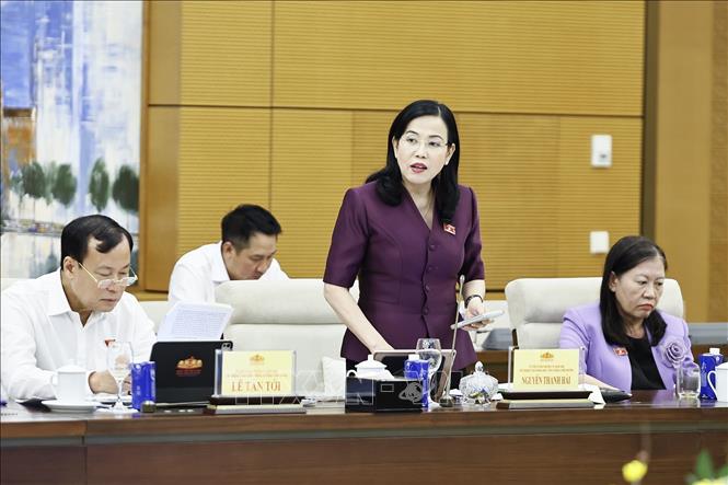 Chủ nhiệm Ủy ban Khoa học, Công nghệ và Môi trường của Quốc hội Nguyễn Thanh Hải phát biểu. Ảnh: Doãn Tấn - TTXVN
