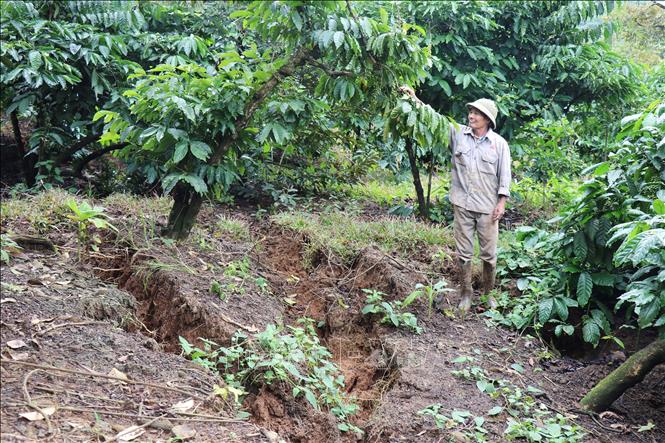 Các vết nứt xuất hiện tại nhiều vị trí đất của hộ ông Vũ Văn Tề, tổ dân phố Cây Xoài, phường Đông Gia Nghĩa (Lâm Đồng). Ảnh: Nguyễn Huy Thành – TTXVN