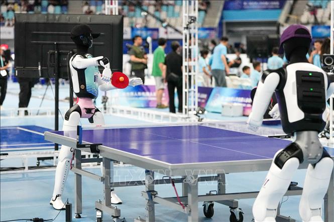 Robot thi đấu tại Đại hội Thể thao Robot hình người thế giới lần thứ 2, Bắc Kinh, Trung Quốc. Ảnh: THX/TTXVN phát