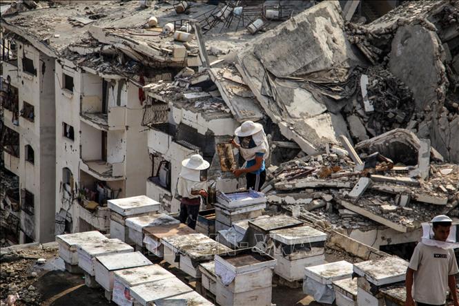 Cảnh đổ nát sau các cuộc không kích của Israel xuống thành phố Gaza, ngày 10/8/2026. Ảnh: THX/TTXVN phát