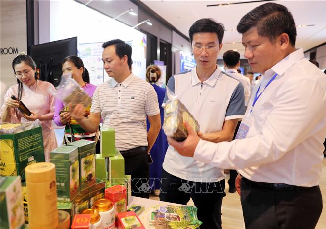 Các đại biểu tham quan các gian hàng trưng bày giới thiệu sản phẩm của địa phương. Ảnh: Việt Hoàng - TTXVN