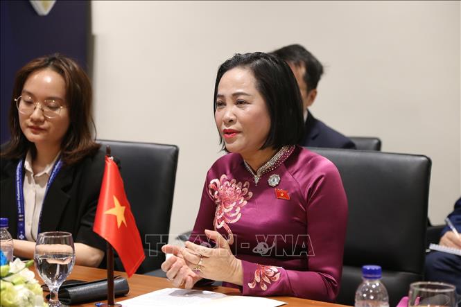 Phó Chủ tịch Quốc hội Nguyễn Thị Thanh phát biểu tại cuộc hội kiến Phó Chủ tịch thứ hai Quốc hội Ghana Andrew Asiamah Amoako. Ảnh: Minh Hưng - PV TTXVN tại Campuchia