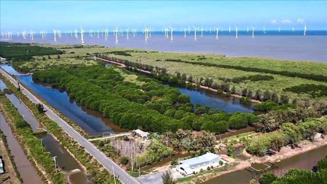  Bảo vệ hệ sinh thái và phát triển nông nghiệp bền vững tạo nền tảng cho sinh kế lâu dài theo kết luận số 75 KL/TW tại Hội nghị TƯ 3. Trong ảnh: Tỉnh Cà Mau có hệ sinh thái rừng ngập mặn đa dạng, giàu tiềm năng. Ảnh: Chanh Đa-TTXVN