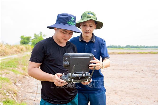 Nông dân Ninh Bình điều khiển thiết bị bay không người lái hỗ trợ sản xuất nông nghiệp. Ảnh: Nguyễn Lành - TTXVN 