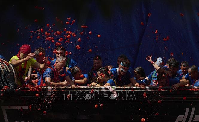 Ngày 26/8/2026, lễ hội ném cà chua La Tomatina đã diễn ra tại thị trấn Bunol, gần thành phố Valencia, Tây Ban Nha. Hơn 22.000 người đã tham gia và cùng hòa mình vào cuộc chiến cà chua sôi động trên đường phố, với khoảng 150 tấn cà chua được sử dụng trong lễ hội năm nay. Ảnh: THX/TTXVN phát