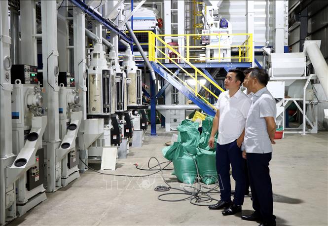 Dây chuyền sản xuất gạo chất lượng cao của Công ty TNHH Cường Tân, xã Ninh Cường (Ninh Bình). Ảnh: Nguyễn Lành - TTXVN 