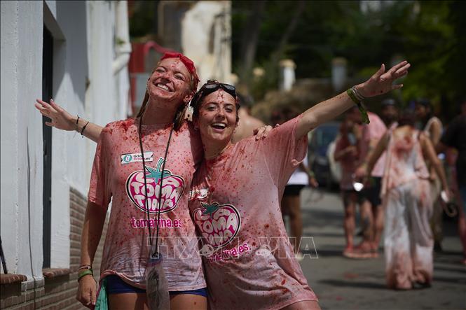 Ngày 26/8/2026, lễ hội ném cà chua La Tomatina đã diễn ra tại thị trấn Bunol, gần thành phố Valencia, Tây Ban Nha. Hơn 22.000 người đã tham gia và cùng hòa mình vào cuộc chiến cà chua sôi động trên đường phố, với khoảng 150 tấn cà chua được sử dụng trong lễ hội năm nay. Ảnh: THX/TTXVN phát