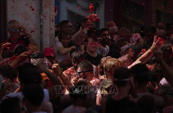 Ngày 26/8/2026, lễ hội ném cà chua La Tomatina đã diễn ra tại thị trấn Bunol, gần thành phố Valencia, Tây Ban Nha. Hơn 22.000 người đã tham gia và cùng hòa mình vào cuộc chiến cà chua sôi động trên đường phố, với khoảng 150 tấn cà chua được sử dụng trong lễ hội năm nay. Ảnh: THX/TTXVN phát