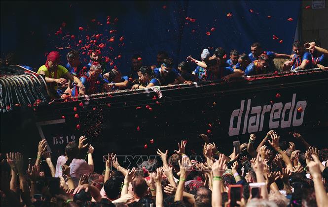 Ngày 26/8/2026, lễ hội ném cà chua La Tomatina đã diễn ra tại thị trấn Bunol, gần thành phố Valencia, Tây Ban Nha. Hơn 22.000 người đã tham gia và cùng hòa mình vào cuộc chiến cà chua sôi động trên đường phố, với khoảng 150 tấn cà chua được sử dụng trong lễ hội năm nay. Ảnh: THX/TTXVN phát