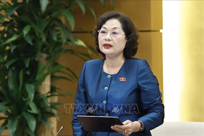 Phó Chủ tịch Quốc hội Nguyễn Thị Hồng phát biểu. Ảnh: Doãn Tấn - TTXVN
