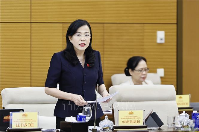 Chủ nhiệm Ủy ban Khoa học, Công nghệ và Môi trường của Quốc hội Nguyễn Thanh Hải phát biểu. Ảnh: Doãn Tấn - TTXVN