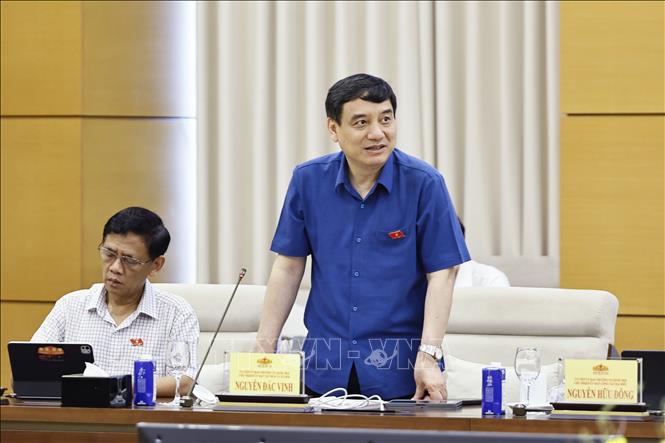 Chủ nhiệm Ủy ban Văn hóa và Xã hội của Quốc hội Nguyễn Đắc Vinh phát biểu. Ảnh: Doãn Tấn - TTXVN