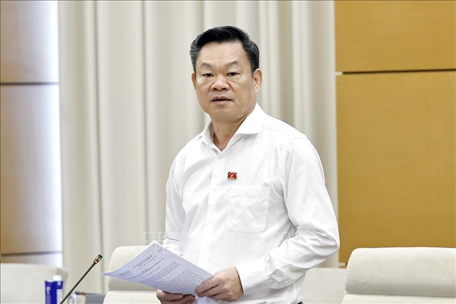 Phó Chủ tịch Thường trực Hội đồng Dân tộc của Quốc hội Hoàng Duy Chinh phát biểu. Ảnh: Doãn Tấn - TTXVN
