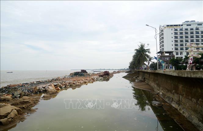Giải pháp kè được lựa chọn vì phù hợp với yêu cầu xử lý khẩn cấp trong điều kiện bờ biển đã sạt lở nặng nề. Ảnh: Việt Hoàng - TTXVN