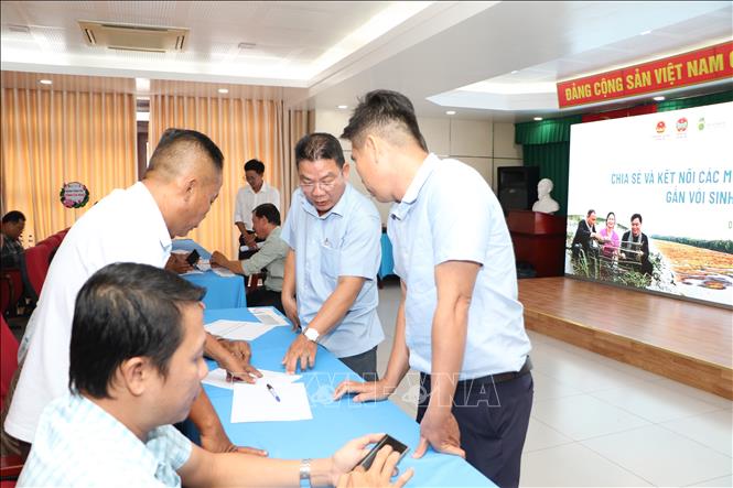 Các thành viên Tổ cộng đồng bảo vệ nguồn lợi thủy sản thảo luận, chia sẻ kinh nghiệm. Ảnh: Hồng Thái - TTXVN