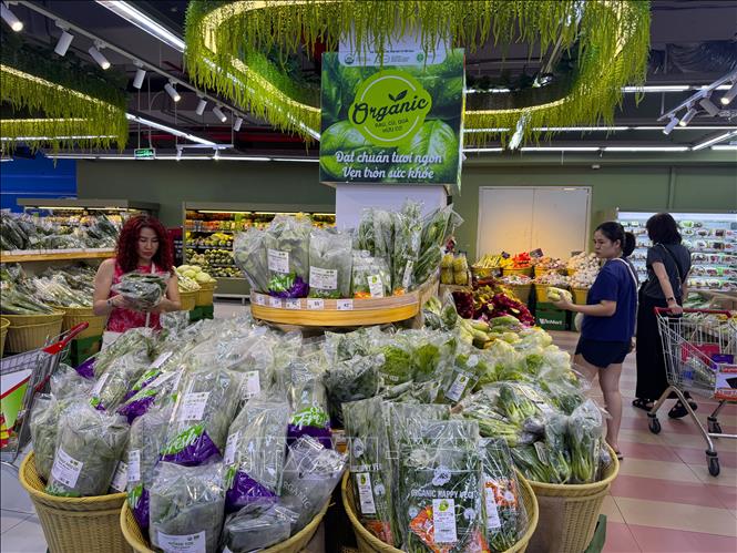 Quầy rau củ, thực phẩm hữu cơ được người tiêu dùng ưa chuộng tại siêu thị Winmart Thảo Điền, TP Hồ Chí Minh. Ảnh: Hương Giang - TTXVN