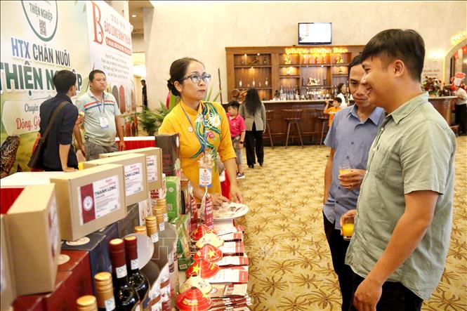 Các đại biểu tham quan các gian hàng giới thiệu sản phẩm đặc trưng của địa phương. Ảnh: Hồng Hiếu- TTXVN