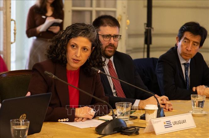 Head of the Brazil negotiating team Rodrigo Bardoneschi. VNA Photo: Thanh Tùng