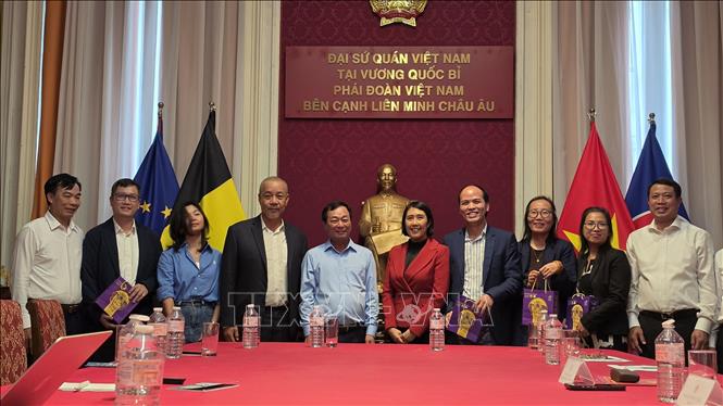 Ông Bùi Văn Quang, Phó Bí thư Thường trực Tỉnh ủy Phú Thọ cùng Đại sứ Việt Nam tại Vương quốc Bỉ Nguyễn Hương Trà và đại diện Hội Trí thức Việt Nam tại Bỉ và Luxembourg (ViLaB), ngày 28/8 tại Brussels. Ảnh: PV TTXVN tại Vương quốc Bỉ