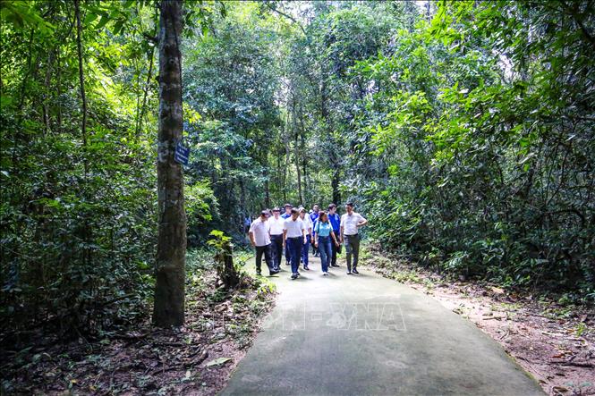 Khu di tích Căn cứ Chính phủ Cách mạng lâm thời Cộng hòa miền Nam Việt Nam nằm giữa không gian rừng già của Vườn Quốc gia Lò Gò - Xa Mát, tỉnh Tây Ninh. Ảnh: Giang Phương - TTXVN