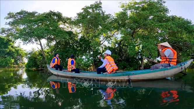 Thời gian gần đây, lượng du khách đến trải nghiệm rừng ngập mặn ngày càng nhiều. Ảnh: Đinh Hương - TTXVN