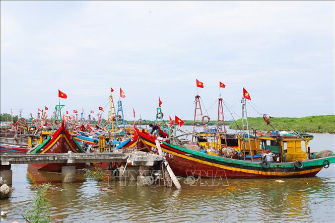 Luồng tuyến neo đậu tàu thuyền trên sông Lạch Vạn (xã Diễn Châu, Nghệ An) nối với cửa biển được điểm tô bởi sắc đỏ cờ Tổ quốc trên hàng trăm tàu, thuyền đánh cá của ngư dân làng biển trong những ngày cận Quốc khánh 2/9. Ảnh: Xuân Tiến - TTXVN