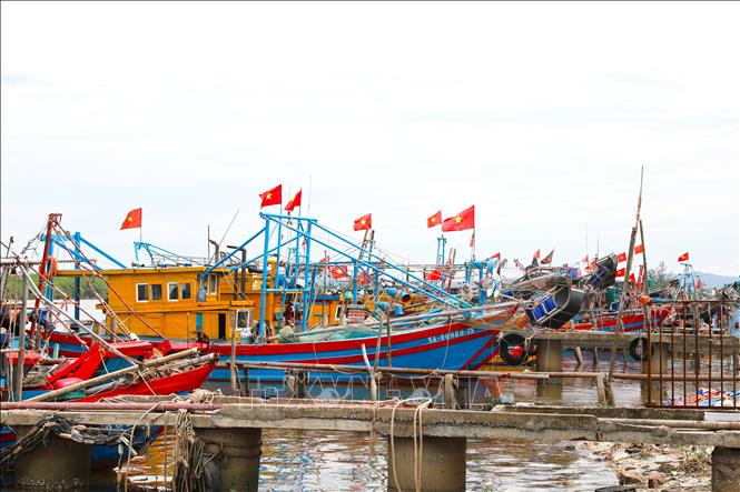 Hàng trăm tàu, thuyền đánh cá của ngư dân xã Diễn Châu (tỉnh Nghệ An) được ngư dân làng biển đồng loạt treo cờ Tổ quốc, tạo nên không khí rộn ràng, sắc màu rực rỡ tại khu neo đậu dịp Quốc khánh 2/9. Ảnh: Xuân Tiến - TTXVN
