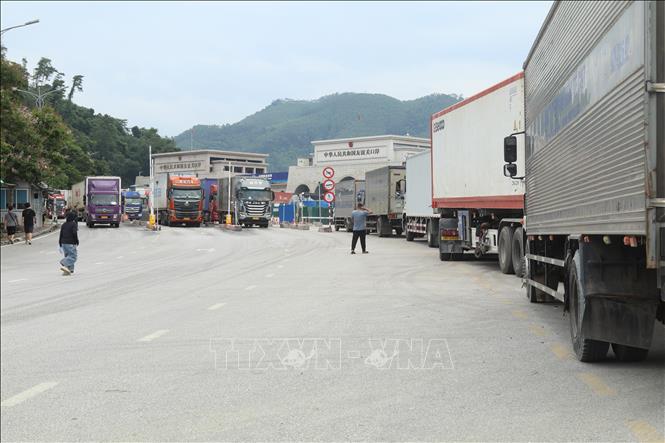 Phương tiện chở hàng xuất nhập khẩu qua đường chuyên dụng ở khu vực cửa khẩu quốc tế Hữu Nghị. Ảnh: Quang Duy – TTXVN
