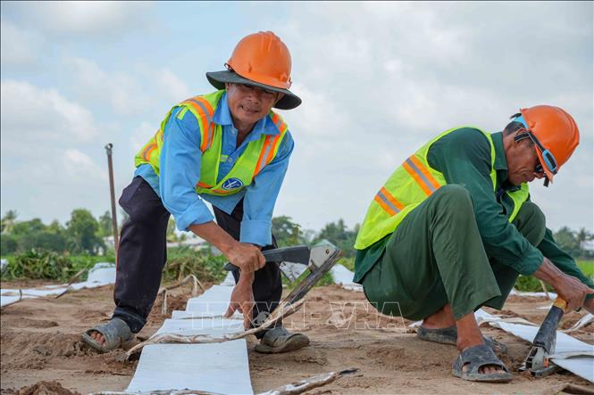 Công nhân thi công hạng mục gia cố nền đường ở gói thầu số 1, dự án thành phần 2 cao tốc Châu Đốc - Cần Thơ - Sóc Trăng. Ảnh: Thanh Liêm - TTXVN