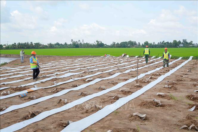 Đơn vị thi công trải bấc thấm ngang để thoát nước, xử lý nền đường ở gói thầu số 1, dự án thành phần 2 cao tốc Châu Đốc - Cần Thơ - Sóc Trăng. Ảnh: Thanh Liêm - TTXVN
