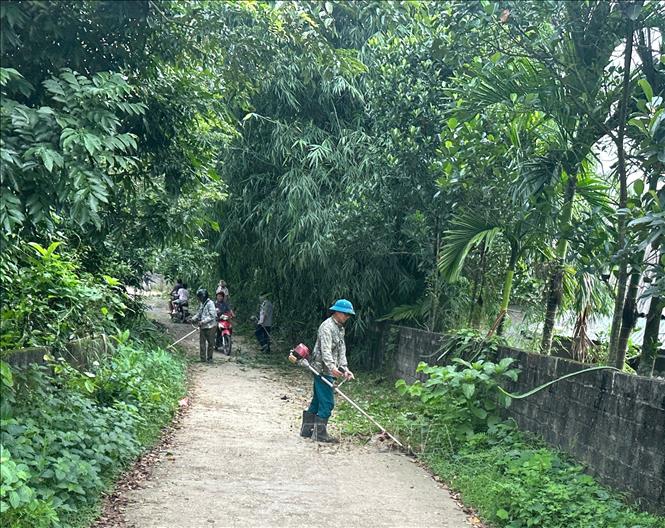 Người dân xã Vĩnh Chân, tỉnh Phú Thọ tích cực tham gia phát quang đường làng, ngõ xóm, góp phần xây dựng cảnh quan nông thôn xanh, sạch, đẹp. Ảnh: Nguyễn Thảo - TTXVN