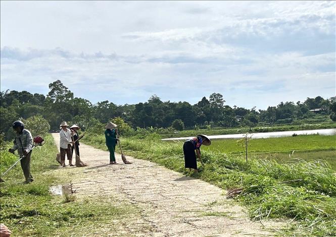 Người dân xã Vĩnh Chân chung tay phát quang cây cỏ, vệ sinh đường làng, góp phần xây dựng nếp sống xanh tại địa phương. Ảnh: Nguyễn Thảo - TTXVN
