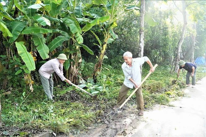  Các tuyến đường làng tại xã Lập Thạch được người dân thường xuyên phát quang, vệ sinh, tạo cảnh quan sạch đẹp và thông thoáng.Ảnh: Nguyễn Thảo - TTXVN