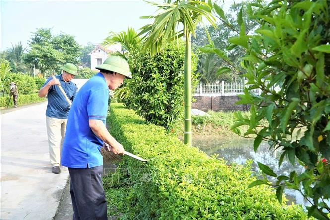 Người dân xã Lập Thạch chung tay chăm sóc cây xanh, vệ sinh đường làng, góp phần xây dựng môi trường sống xanh, sạch, đẹp. Ảnh: Nguyễn Thảo - TTXVN