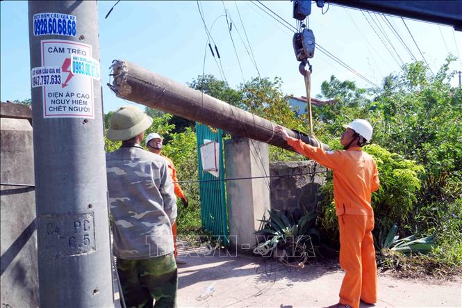 Cán bộ, công nhân ngành Điện lực Quảng Trị đang khẩn trương kiểm tra, thay thế các vị trí cột điện không bảo đảm an toàn trước mùa mưa bão. Ảnh: Tá Chuyên - TTXVN