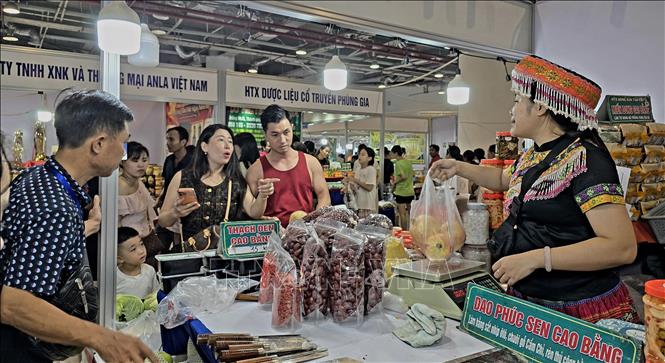 Tư vấn cho du khách thông tin về các sản phẩm nông sản, đặc sản vùng miền trưng bày tại hội chợ. Ảnh: Thanh Vân - TTXVN