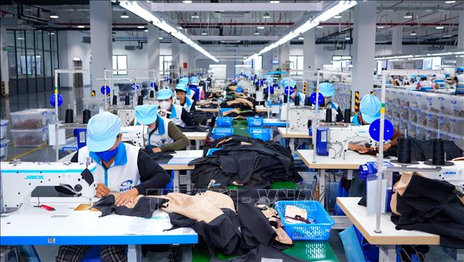 Hoạt động sản xuất tại Công ty Trách nhiệm hữu hạn Công nghệ TENFY (Việt Nam). Ảnh: Minh Phú - TTXVN 
