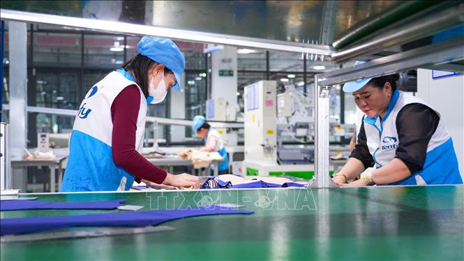 Công nhân làm việc ông ty Trách nhiệm hữu hạn Công nghệ TENFY (Việt Nam). Ảnh: Minh Phú - TTXVN 