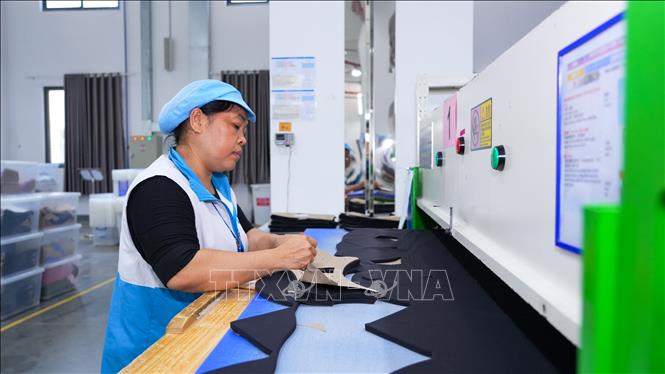 Hoạt động sản xuất tại Công ty Trách nhiệm hữu hạn Công nghệ TENFY (Việt Nam) có vốn đầu tư nước ngoài tại Khu công nghiệp TMTC, xã Bến Cầu, tỉnh Tây Ninh. Ảnh: Minh Phú - TTXVN 