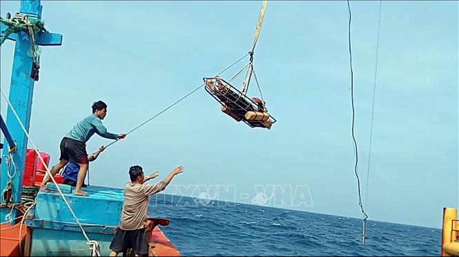 Dùng cẩu vận chuyển ngư dân bị nạn lên Nhà giàn DK1/7 cấp cứu. Ảnh: TTXVN phát 