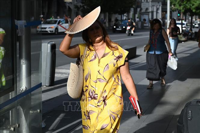Người dân dùng quạt che nắng tại Madrid, Tây Ban Nha. Ảnh: THX/TTXVN phát