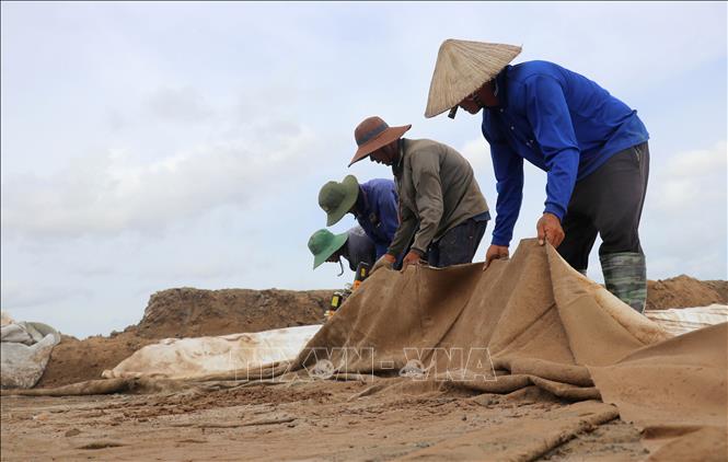 Công nhân Công ty Cổ phần Đầu tư và Giao thông Phương Thành thi công hạng mực rải thảm địa kỹ thuật đối với những km đã dỡ tải xong. Ảnh: Công Mạo-TTXVN