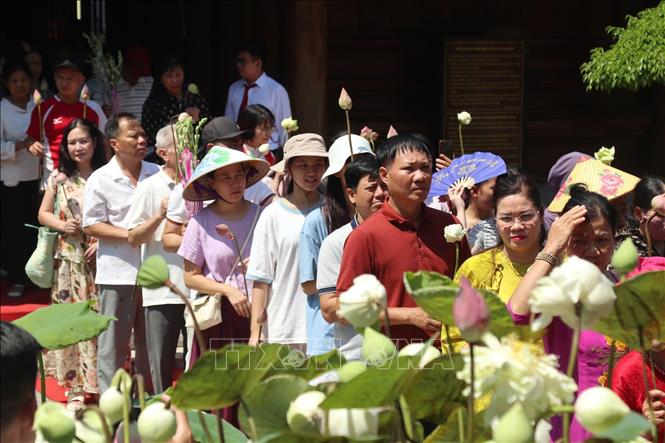 Dòng người nối nhau về Khu di tích Quốc gia đặc biệt Kim Liên với những bó sen trên tay mang vẻ đẹp giản dị, thanh khiết và tấm lòng thành kính, biết ơn Người. Ảnh: Bích Huệ - TTXVN