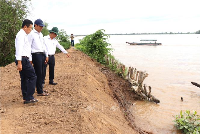 Phó Chủ tịch UBND tỉnh Vĩnh Long Châu Văn Hòa khảo sát khu vực sạt lở cồn Thanh Long, xã Quới Thiện. Ảnh: Lê Thúy Hằng – TTXVN 